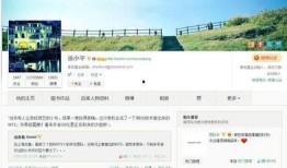 徐小平最新微博爆料,揭秘行业新动态